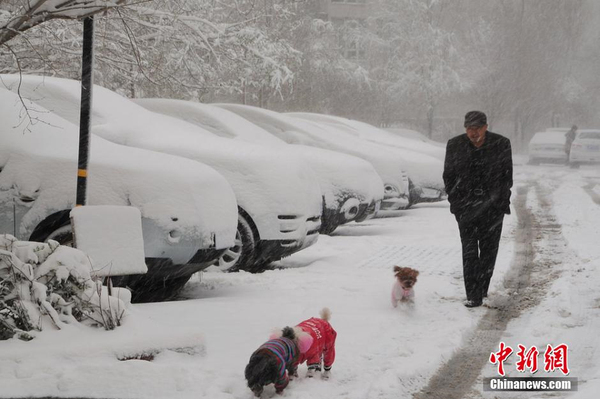 烏魯木齊四月飛雪-瞬間進入冬季模式2