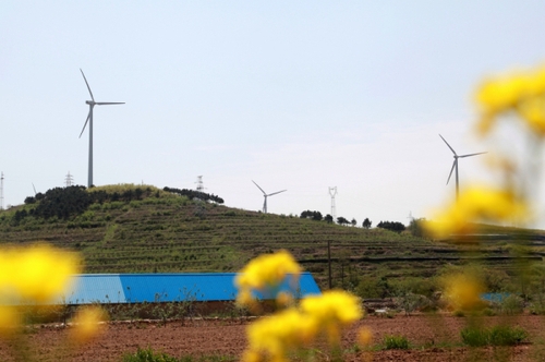 這是5月6日拍攝的山東威海中廣核風(fēng)電場。