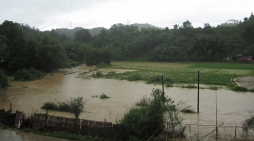 5月18日，在廣西昭平縣馬江鎮(zhèn)新興村，河水上漲淹沒部分農(nóng)田。