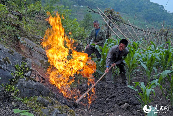 田地里劃根火柴能點燃-重慶巴南發現神秘氣體3