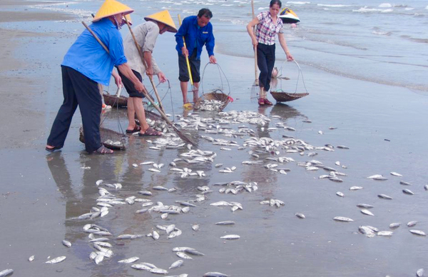 大量死魚涌上廣西白浪灘-魚身破損疑遭電炸2