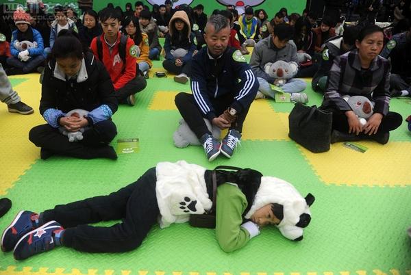 11月18日，首屆全國“發呆大賽”首站在成都寬窄巷子舉行。3