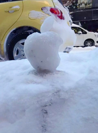 日本果粉雪天通宵排隊　警察拍肩確認(rèn)死活3