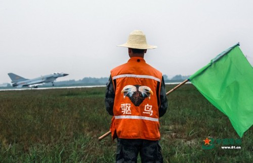 不是所有空軍都駕駛戰機飛翔在天空，比如地上的驅鳥兵，他們默默無聞保護戰機起飛不受飛鳥影響。張鵬炎 攝