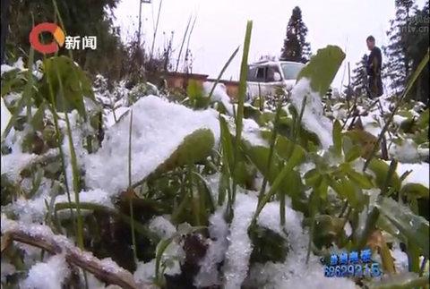 重慶氣溫再創入秋以來新低 仙女山景區迎來首場降雪