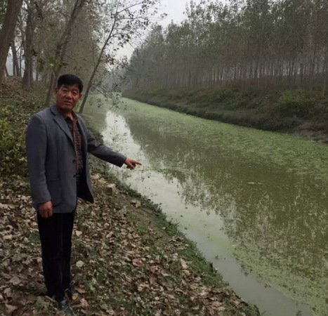 中國缺水困局調查：鄱陽湖冬季枯水 草太密要防火3