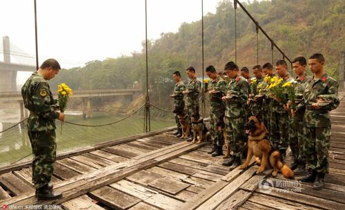 2016年3月29日，云南瑞麗，邊防大隊江橋警犬復訓基地的官兵在警犬墓群前，帶著警犬列隊，悼念特殊的“警犬戰友”，敬獻花環。脫帽、默哀、敬禮，簡單的儀式承載了官兵與警犬之間深厚的戰友情誼。11年來，這個基地先后有12頭警犬光榮地完成使命，葬在山頭。