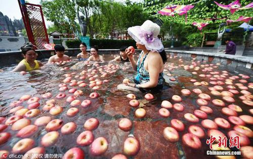 洛陽一景區(qū)辦奇葩“溫泉水果浴” 蘋果黃瓜連泡帶吃