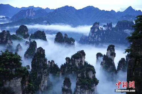 飄渺無形的云海穿梭在連綿峰林間，奇美無比。1