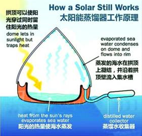 假如被困海上 該選擇喝尿還是喝海水？