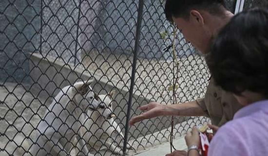 朝鮮平壤動物園里啥模樣？“狗屋”是最熱門景點