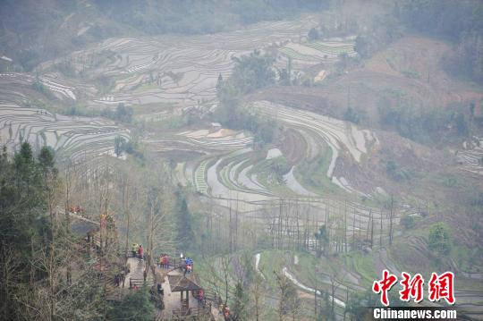 大霧中的世界遺產哈尼梯田。　劉冉陽 攝