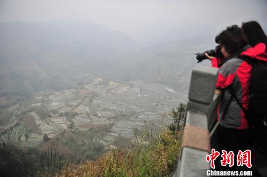 游客在哈尼梯田景區(qū)拍照。　劉冉陽(yáng) 攝