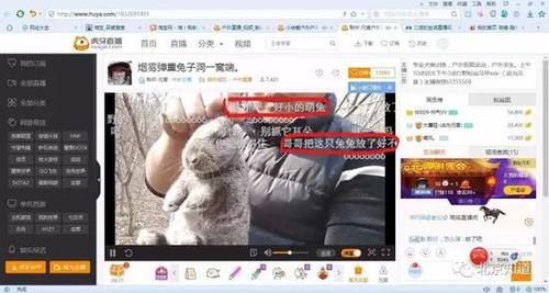 萬人圍觀捕殺野生動(dòng)物 多家直播平臺(tái)現(xiàn)打野直播