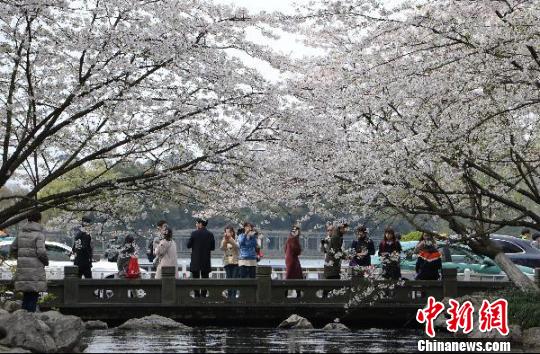 圖為杭州西湖的太子灣公園。　王剛 攝