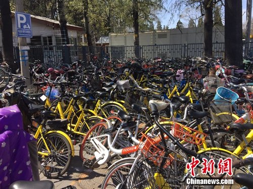 資料圖：頤和園附近的一處停車點堆滿共享單車。<a target='_blank' href='http://www.chinanews.com/' >中新網</a> 吳濤 攝