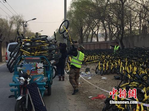 有故障的共享單車正源源不斷地送到維修點(diǎn)。<a target='_blank' href='http://www.chinanews.com/' >中新網(wǎng)</a> 吳濤 攝