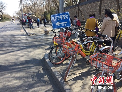 共享單車越來越多，出現在大街小巷。<a target='_blank' href='http://www.chinanews.com/' >中新網</a> 吳濤 攝