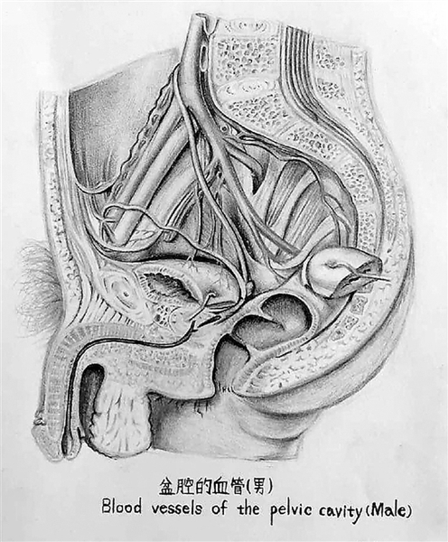 醫科大學女大學生的課堂筆記 線條清晰堪比藝術繪本