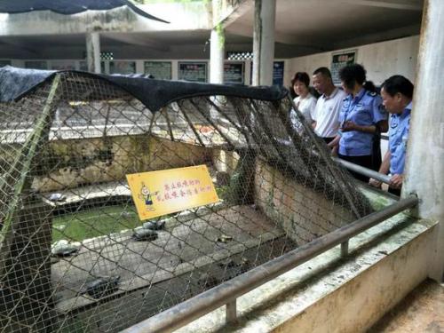 海口動物園成煉獄