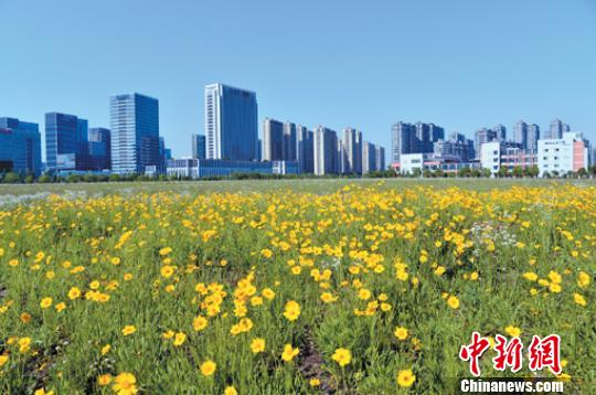 杭州高新開發區(濱江)一景。 杭州市濱江區委宣傳部供圖