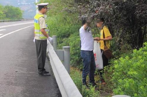 男子去年高速路停車摘李子被罰 今年徒步來摘再次被逮