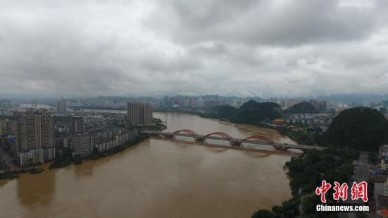 資料圖：7月3日，因受連日暴雨影響，廣西柳江河柳州段出現(xiàn)超警戒水位。 王以照 攝