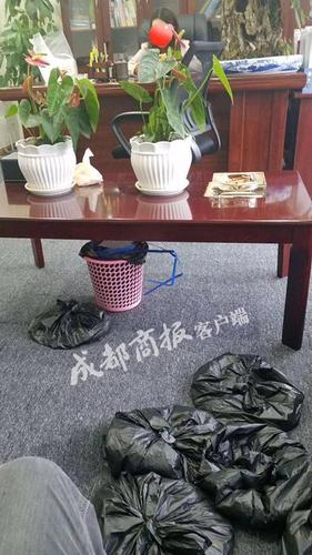 雅安老師離職后收到16660枚硬幣的押金 花4小時(shí)才數(shù)完