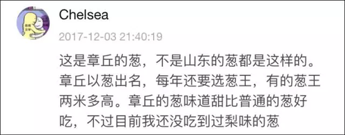 南方妹子遇北方大蔥瘋了:長(zhǎng)了20多年 還沒根蔥高!