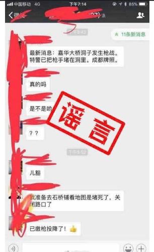 網傳重慶嘉華大橋隧道內發生槍戰 官方辟謠：假的