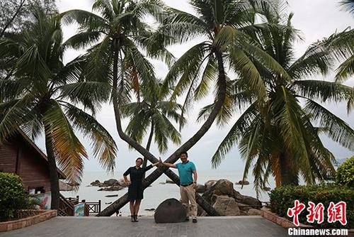 資料圖：游客在海南三亞天涯海角游覽區(qū)內(nèi)的情侶樹前合影。 <a target='_blank' href='http://www.chinanews.com/'>中新社</a>記者 尹海明 攝