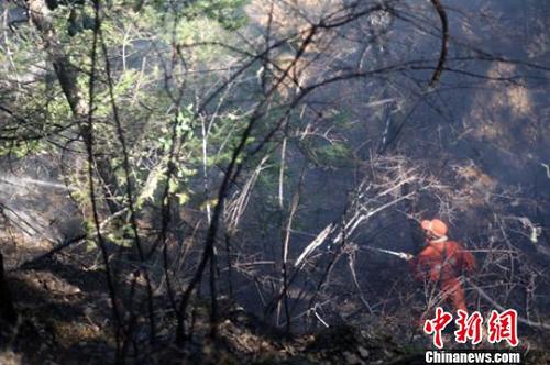 森警官兵正在撲火。　楊俊輝 攝