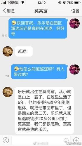 敦煌莫高窟小狗每天繞窟區巡邏走紅 被稱窟霸