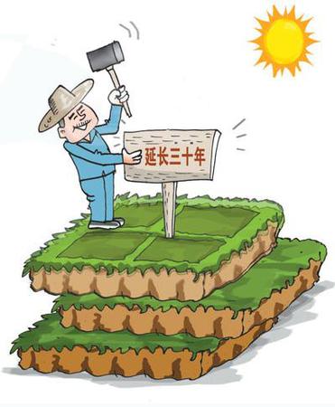 農地制度改革看點多:土地承包再延30年 宅基地分置