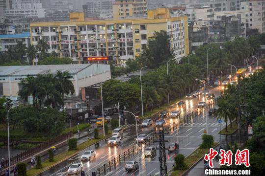 圖為熱帶風(fēng)暴給海口帶來風(fēng)雨影響。　洪堅(jiān)鵬 攝