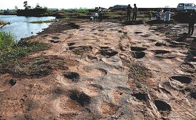 侏羅紀猜想證實山東郯城縣發現300個恐龍足跡（圖）