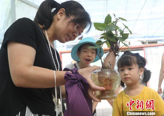 一游客母親捧著無土栽培地瓜盆景向孩子進行農業科普教育。　黃水林 攝