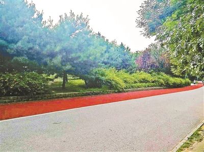 老人公園拍荷花6萬攝影器材被搶 北京警方介入調查