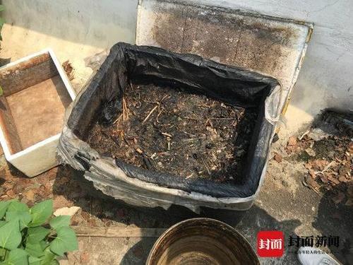 住戶屋頂種菜澆糞施肥散發(fā)惡臭 樓下住戶崩潰了