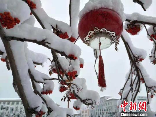 圖為街邊雪景?！垨|艷 攝