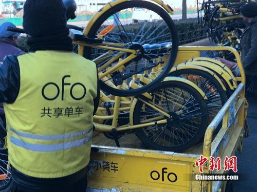 資料圖：某共享單車運維人員在執行作業。<a target='_blank' href='http://www.chinanews.com/' >中新網</a> 吳濤 攝