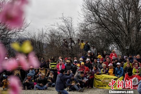 西藏林芝第十七屆桃花旅游文化節大峽谷會場開幕