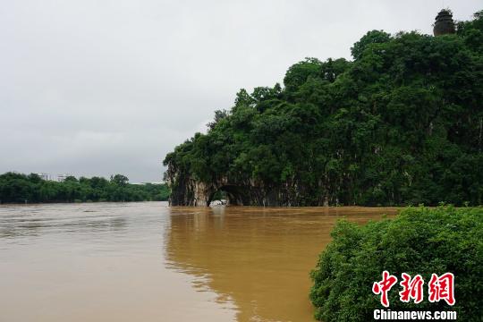 圖為桂林城徽象鼻山被淹?！√茐魬?攝