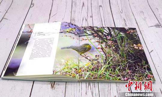 “環喜馬拉雅生態博物叢書”發布鮮活展示西藏生物多樣性