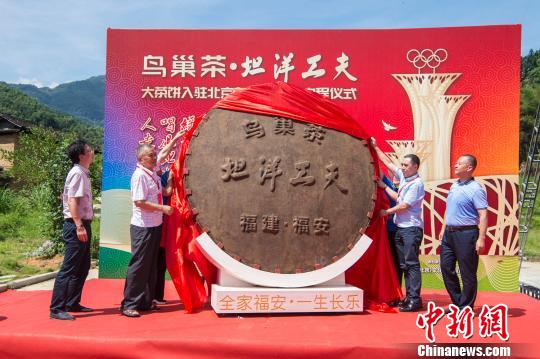 國內最大紅茶餅亮相福建福安將入駐北京奧林匹克塔