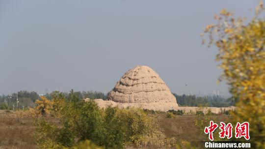 西夏陵遺址。　于晶 攝