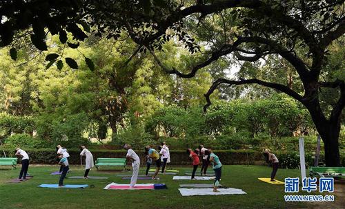 這是在印度新德里，人們在公園練習(xí)瑜伽（2019年6月21日攝）。 新華社記者 張迺杰 攝