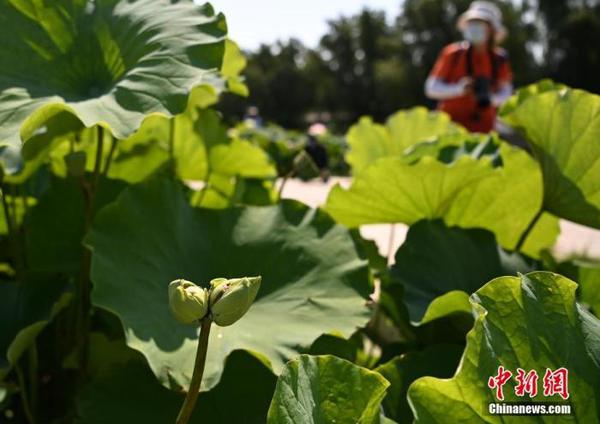 點擊進入下一頁