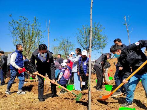 太行山革命老區山西省陵川縣植樹現場