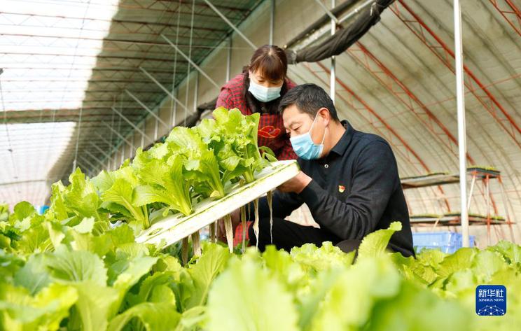 讓希望的田野充滿活力——從全國兩會看鄉村振興發力點